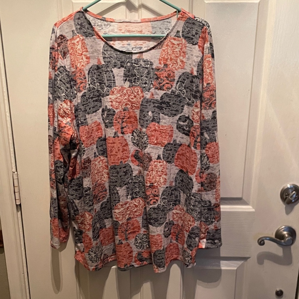 Coldwater Creek 2X Pumpkin Patch Burnout Tee